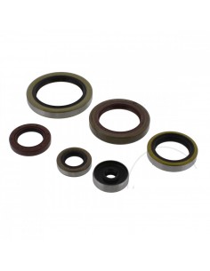 KIT RETENES DE MOTOR ATHENA BETA RR 2T 250/300 14-15