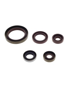 KIT RETENES DE MOTOR ATHENA BETA RR 4T 350 14-15