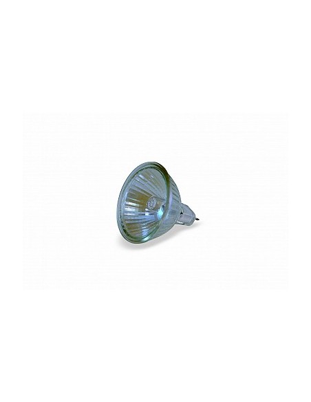 BOMBILLA FARO BLITZ 10V 35W