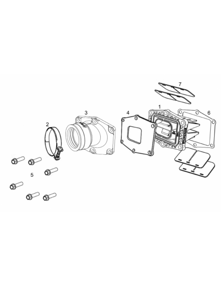 JUNTA CAJA LAMINAS CARTER GAS GAS V-FORCE 4