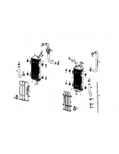 CASQUILLO GAS GAS 6.25X25X7