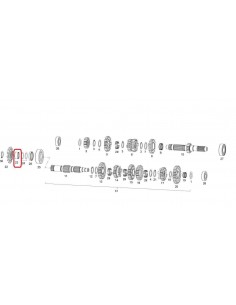 DOLLA RETEN SALIDA DE CAMBIO GAS GAS 200/250/300