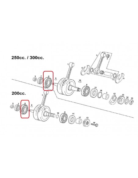 COJINETE CIGUEÑAL IZQUIERDO 6206- TN9/C4 (ABIERTO) COJINETE CIGUEÑAL IZQUIERDO 6206- TN9/C4 (ABIERTO)