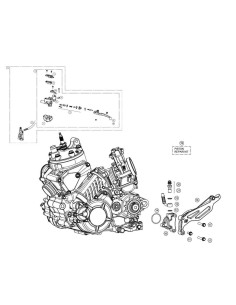 TAPON SANGRADOR FD-G006-00