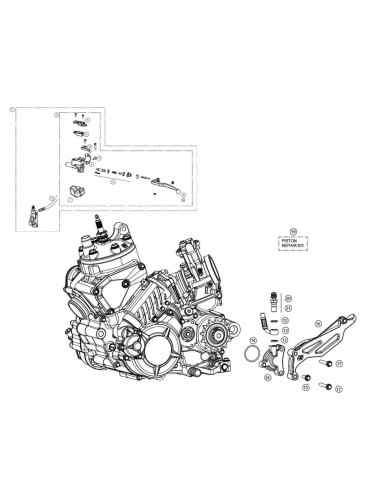 TAPON SANGRADOR FD-G006-00