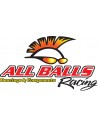 All Balls Racing