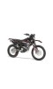 MR 125 2024