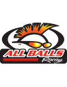 ALL BALLS RACING